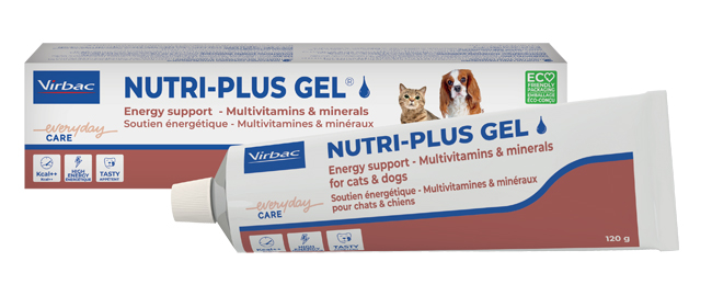NUTRIPLUS GEL PASTA ORALE 120 G - Apotecalab srl