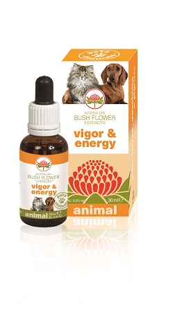 VIGOR & ENERGY 30 ML - Apotecalab srl