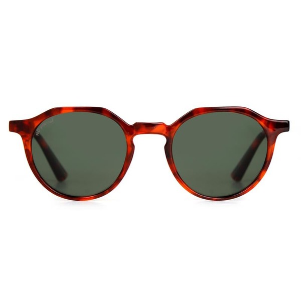 CITYSUN OCCHIALI DA SOLE LUCCA C2 HAVANA - Apotecalab srl