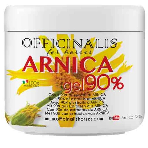 ARNICA GEL 90% 500 ML - Apotecalab srl