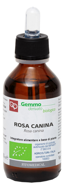 ROSA CANINA MACERATO GLICERICO 100 ML BIO - Apotecalab srl